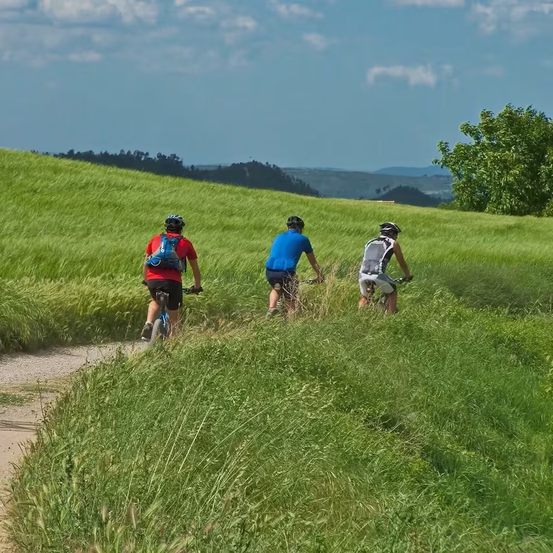 Radfahren durch die Wiesen an der Müritz bei Jabel