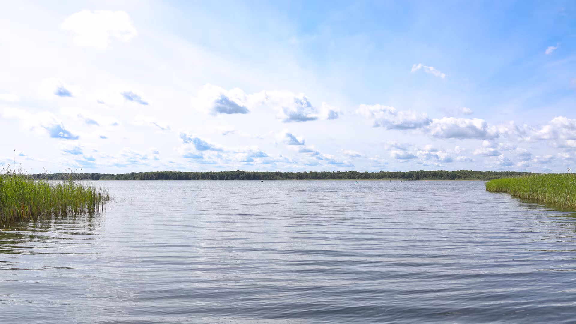 Weiter Blick über den Jabelschen See unter blauem Himmel