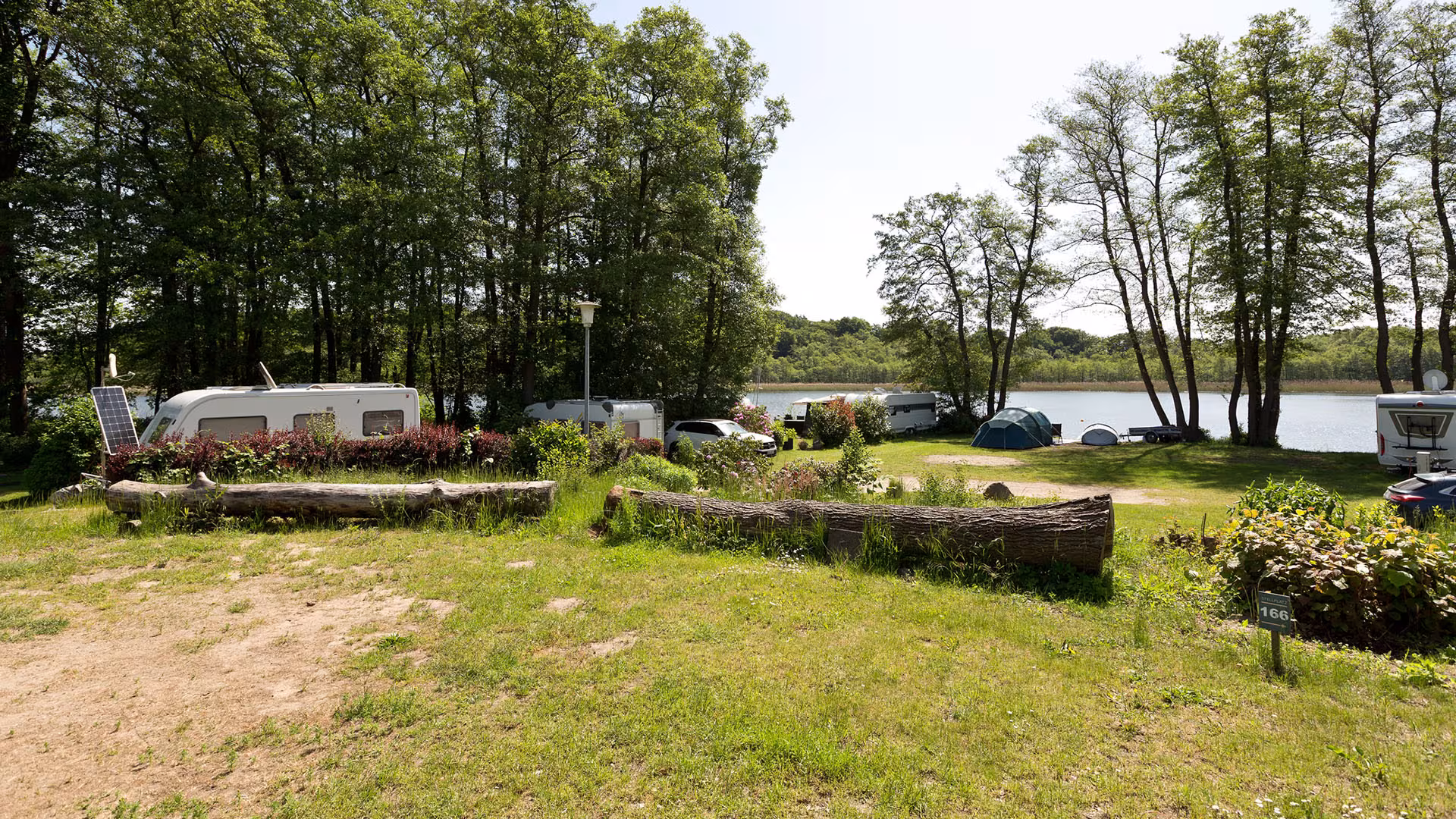 Stellplätze zwischen Bäumen auf dem Naturcampingplatz