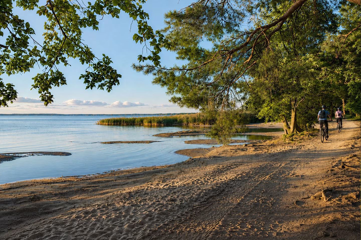 Radweg am Ufer des Jabelschen Sees an der Müritz