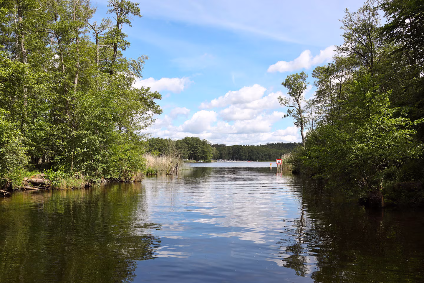 Blick auf den Jabelschen See an der Müritz bei Jabel