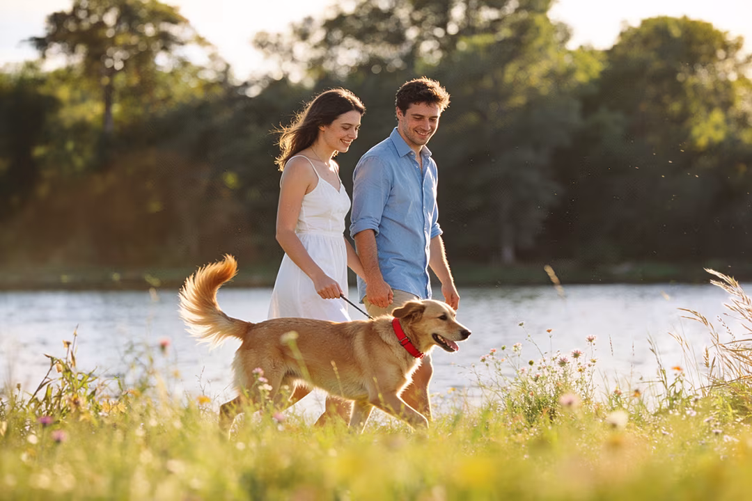 Paar mit Hund am Seeufer an der Müritz in Jabel